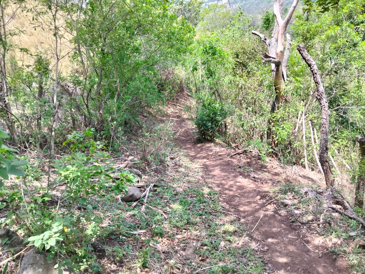 Terreno Rústico de 114 Manzanas en Venta | San Miguel, Texis | $2,500 por Manzana