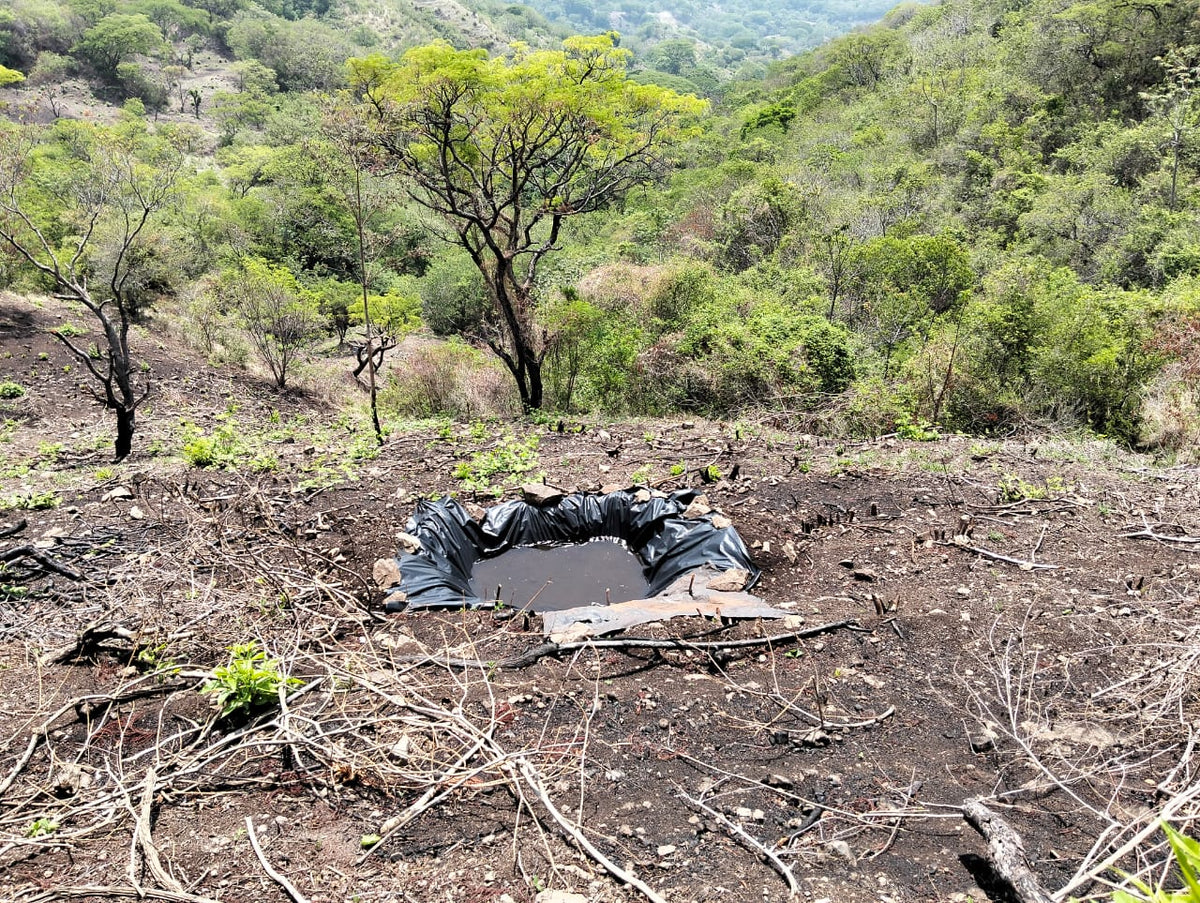 Terreno Rústico de 114 Manzanas en Venta | San Miguel, Texis | $2,500 por Manzana