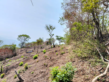 Terreno Rústico de 114 Manzanas en Venta | San Miguel, Texis | $2,500 por Manzana