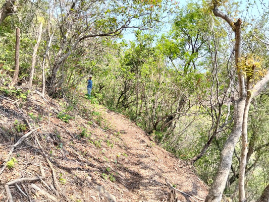 Terreno Rústico de 114 Manzanas en Venta | San Miguel, Texis | $2,500 por Manzana