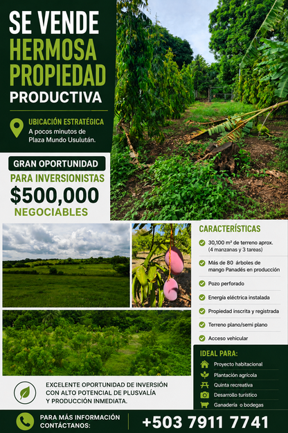 GRAN OPORTUNIDAD PARA INVERSIONISTAS | AMPLIA PROPIEDAD CON ALTO POTENCIAL DE DESARROLLO