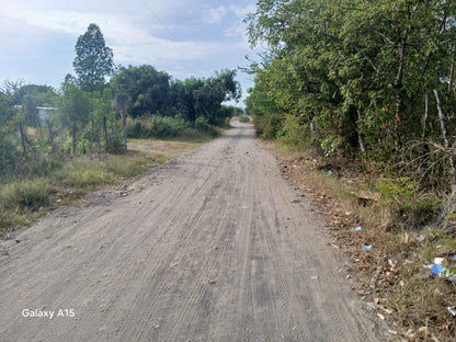 Terreno de 90 Manzanas Completamente Planas con Plantación de Eucalipto en Zacatecoluca