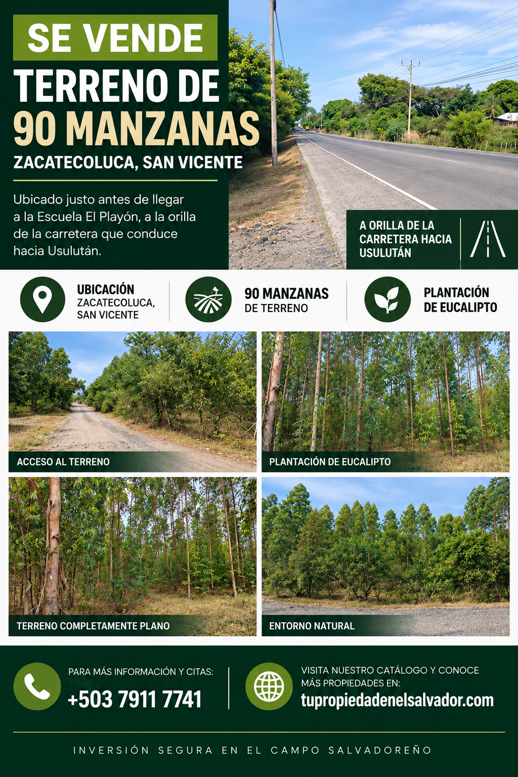 Terreno de 90 Manzanas Completamente Planas con Plantación de Eucalipto en Zacatecoluca