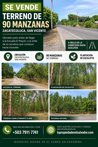 Terreno de 90 Manzanas Completamente Planas con Plantación de Eucalipto en Zacatecoluca