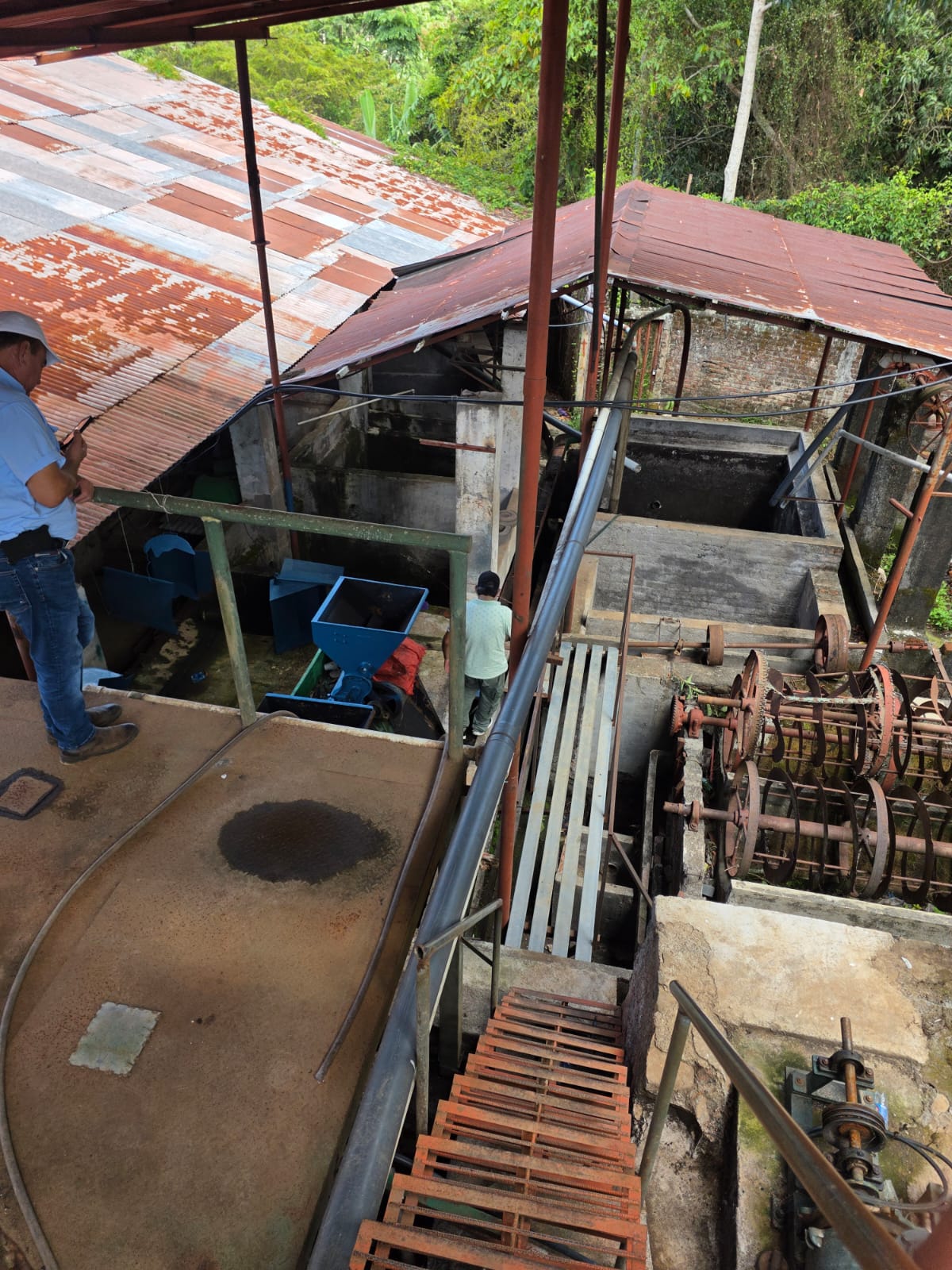 Finca Cafetalera de 140 Manzanas en Ciudad Barrios – Producción, Naturaleza y Potencial Turístico