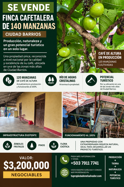 Finca Cafetalera de 140 Manzanas en Ciudad Barrios – Producción, Naturaleza y Potencial Turístico