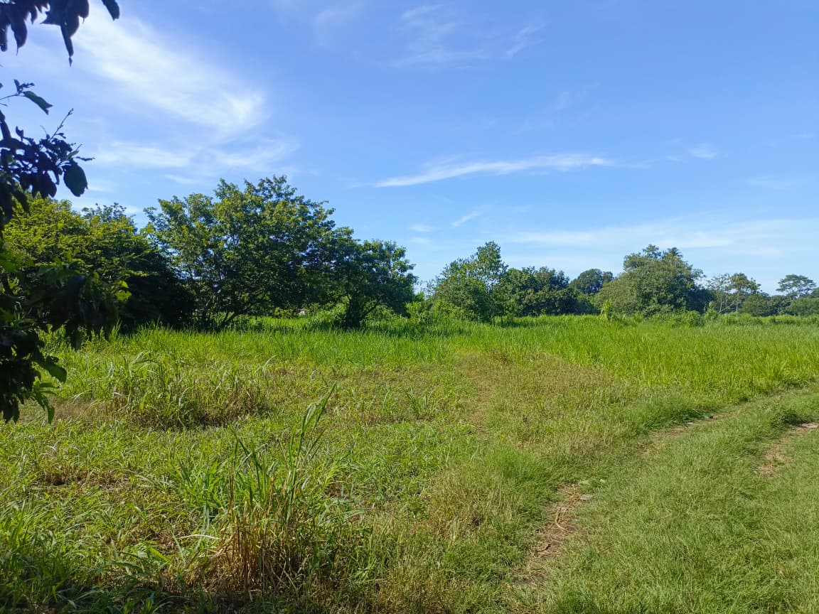 Dos Lotes en Venta de 20 x 45 m en Excelente Zona