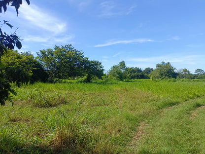 Dos Lotes en Venta de 20 x 45 m en Excelente Zona