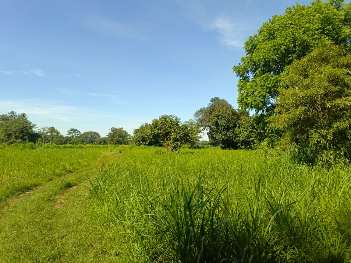 Dos Lotes en Venta de 20 x 45 m en Excelente Zona